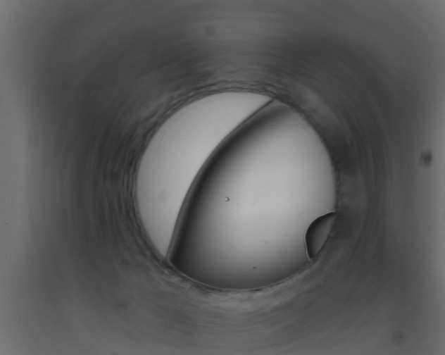 X0000093380029200710111356