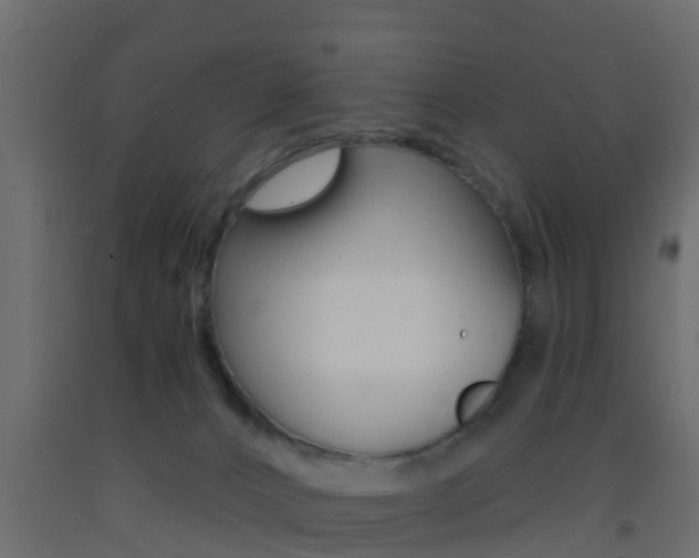 X0000093380032200710111356