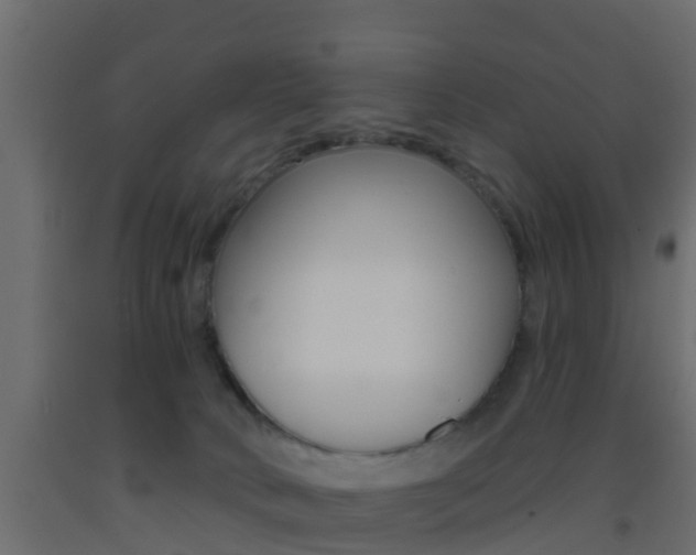 X0000093380034200710111356