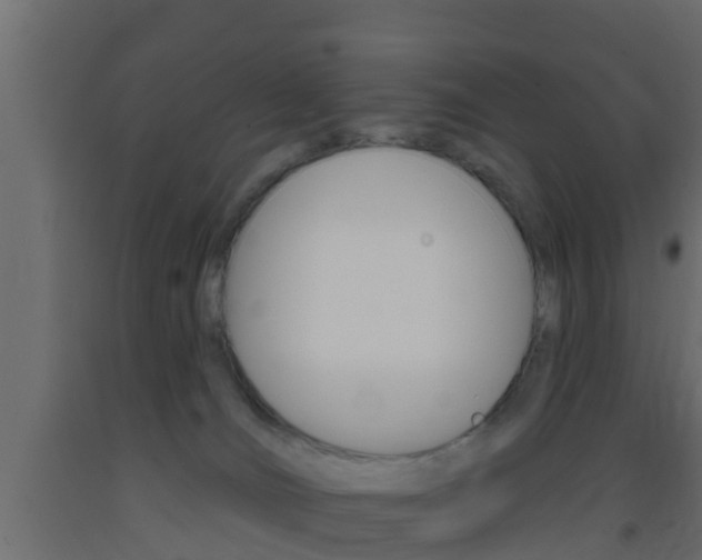 X0000093380036200710111356