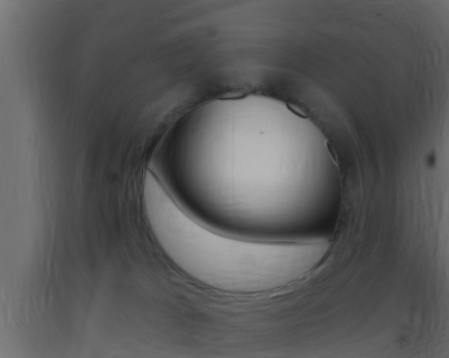 X0000093380037200710111356