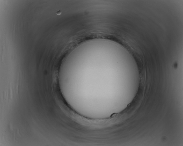 X0000093380038200710111356