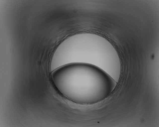 X0000093380039200710111356