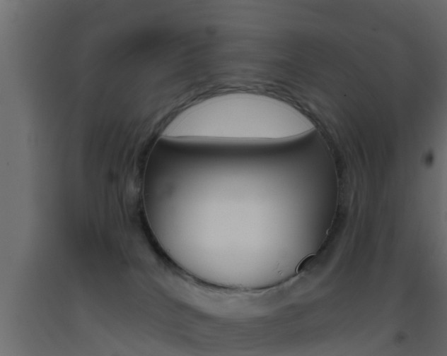 X0000093380040200710111356