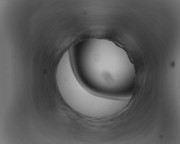 X0000093380041200710111356