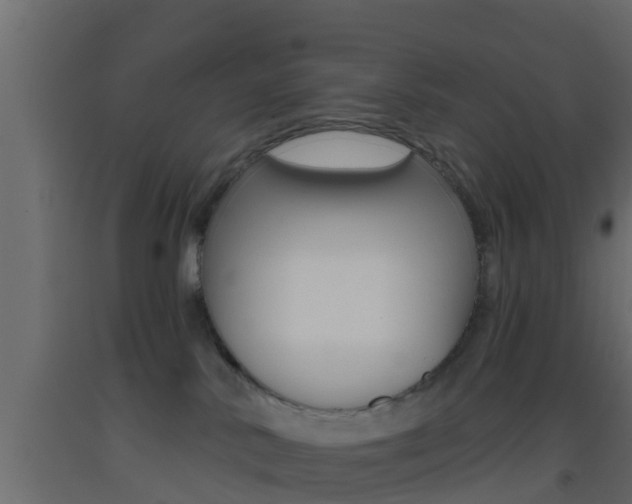 X0000093380042200710111356