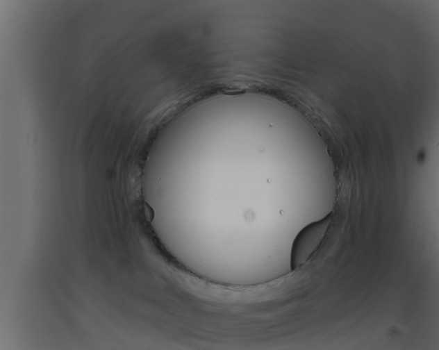 X0000093380043200710111356