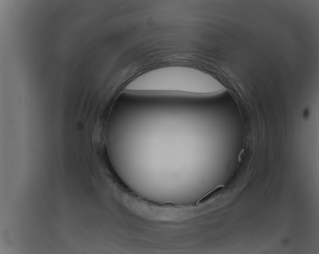X0000093380044200710111356