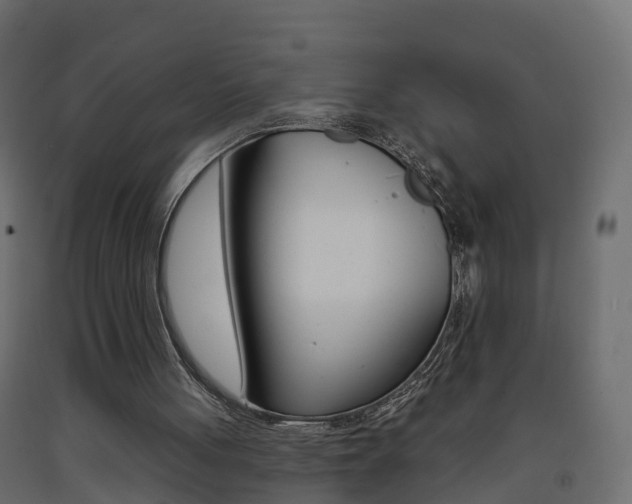 X0000093380051200710111355