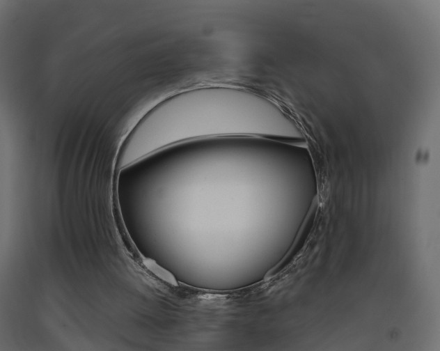 X0000093380052200710111355