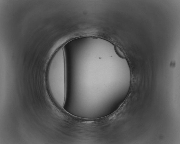 X0000093380054200710111355