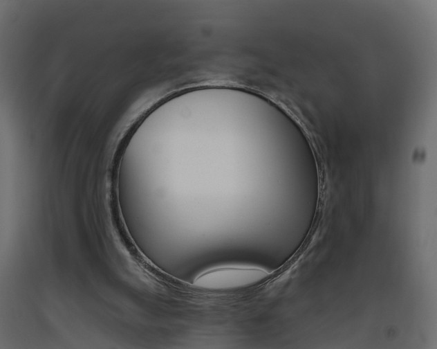 X0000093380055200710111355