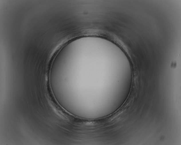 X0000093380059200710111355