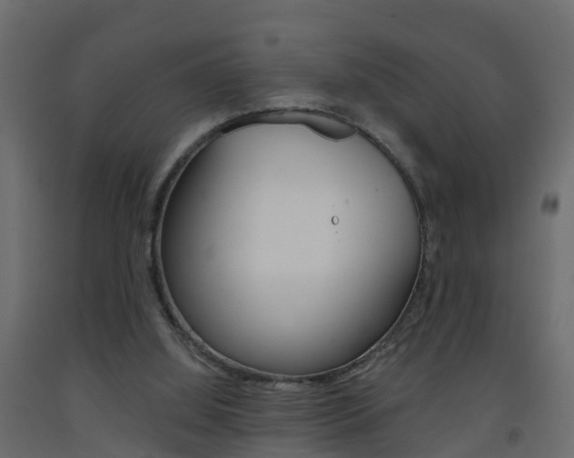 X0000093380060200710111355