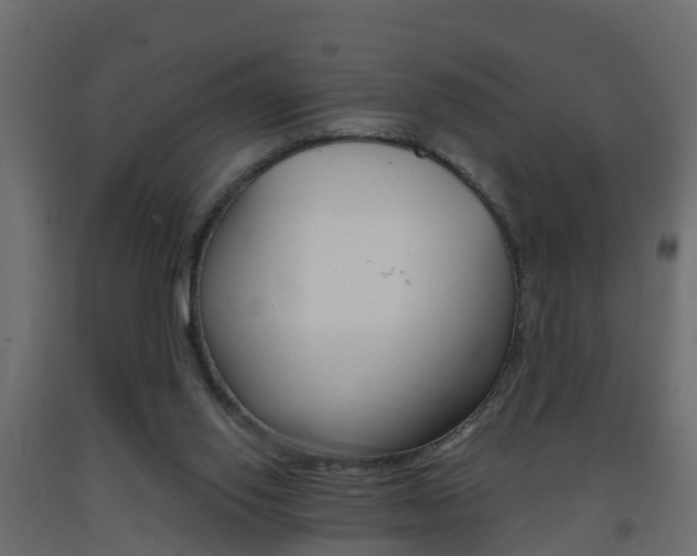 X0000093380062200710111355