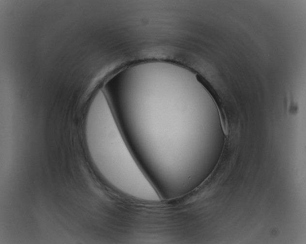 X0000093380064200710111355
