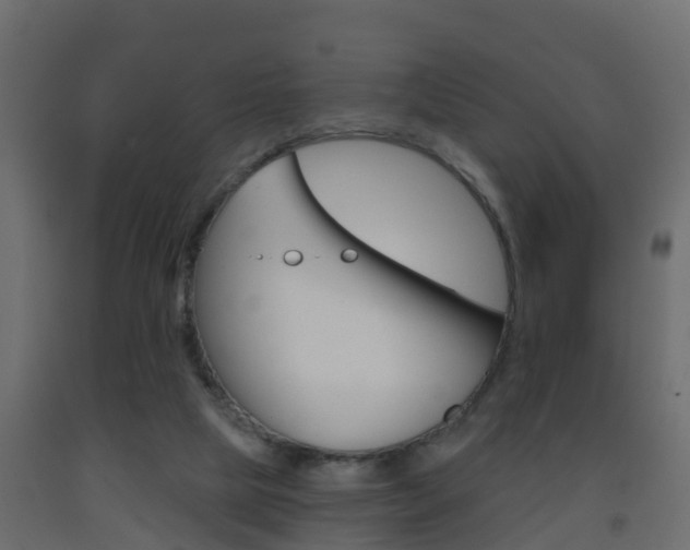 X0000093380065200710111355