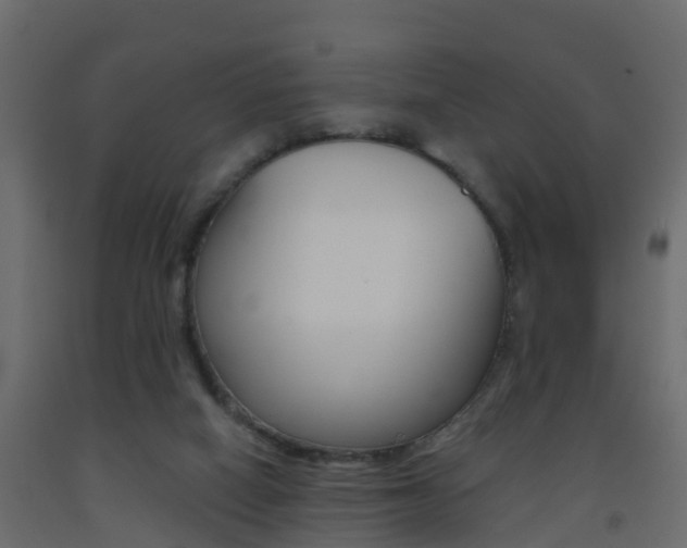 X0000093380066200710111355
