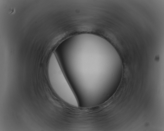 X0000093380068200710111355