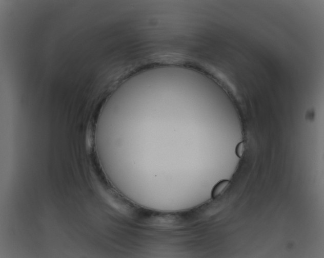 X0000093380069200710111355