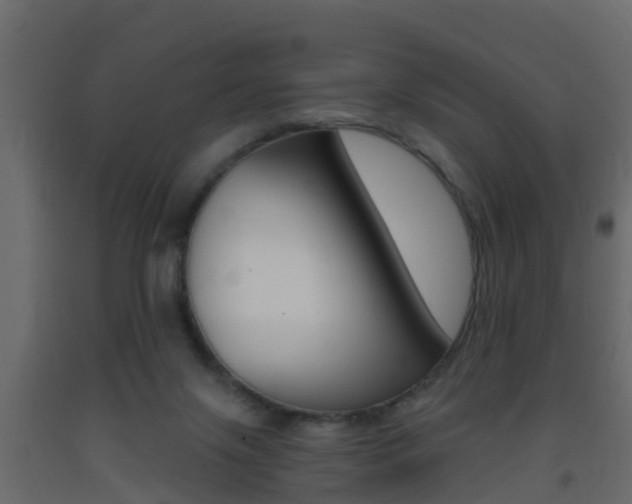 X0000093380071200710111355