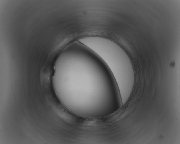 X0000093380072200710111355