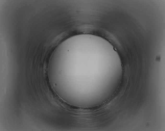 X0000093380073200710111355