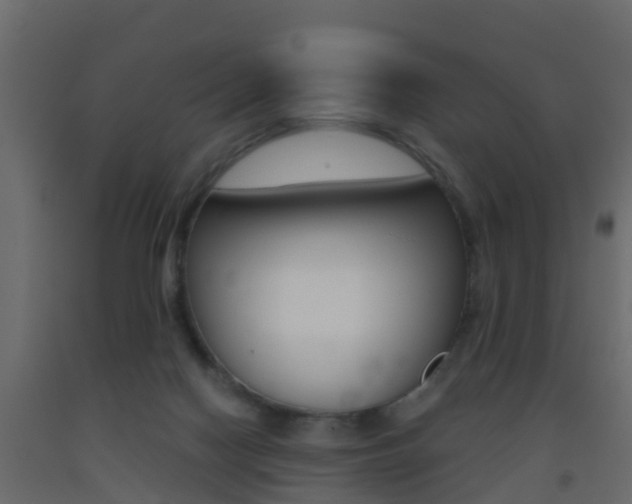 X0000093380074200710111355