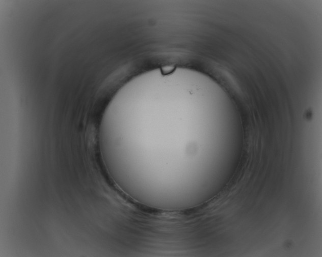 X0000093380077200710111355