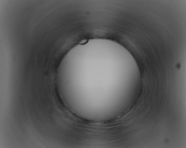 X0000093380079200710111356