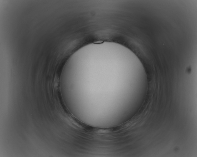 X0000093380081200710111356