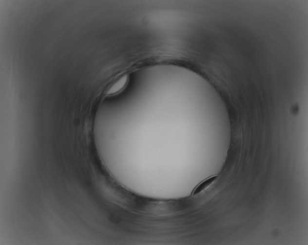 X0000093380082200710111356