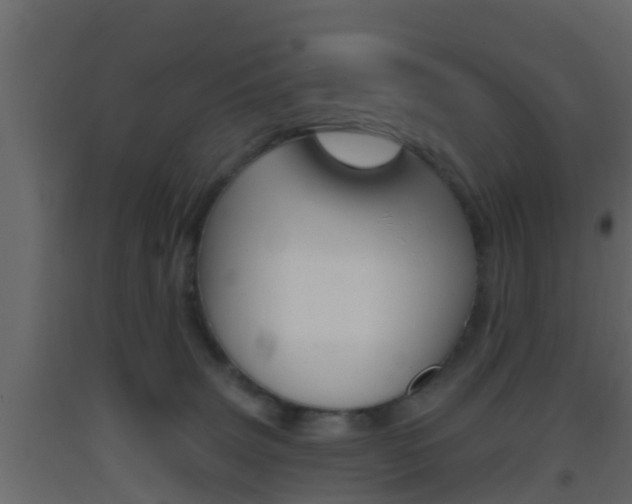 X0000093380083200710111356