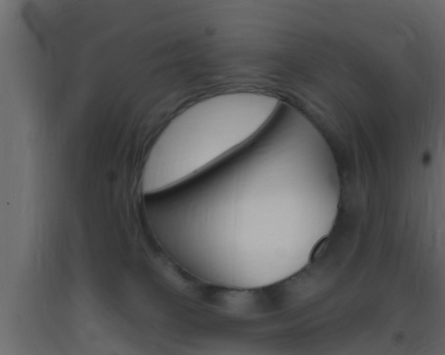 X0000093380085200710111356