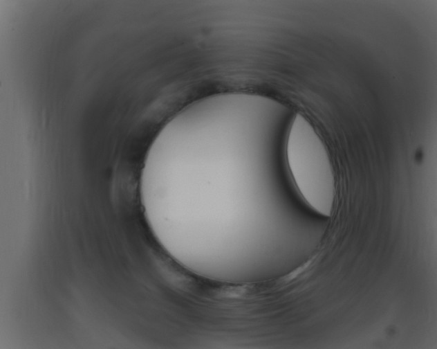 X0000093380086200710111356