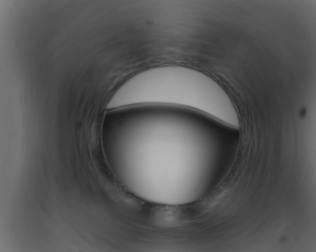 X0000093380088200710111356