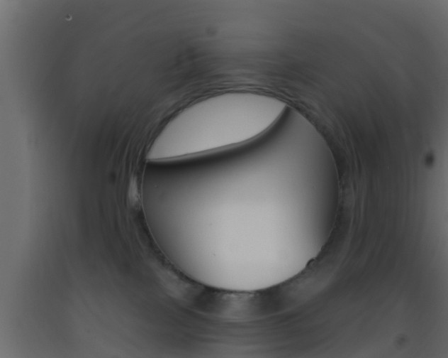X0000093380089200710111356
