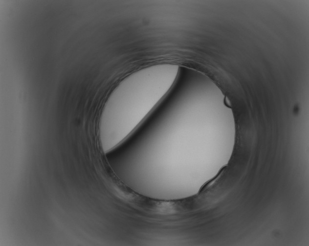 X0000093380091200710111356