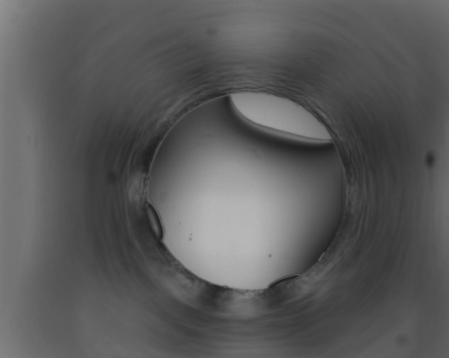 X0000093380093200710111356