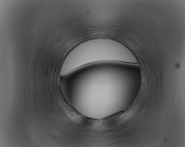 X0000093380096200710111356