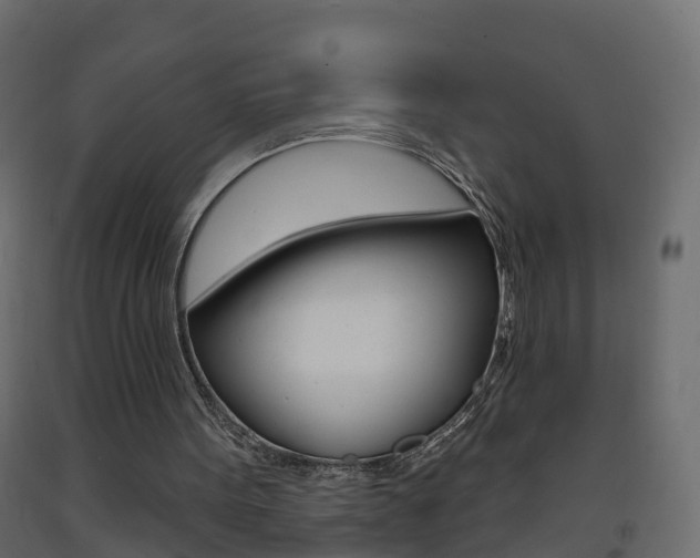 X0000093380099200710111355