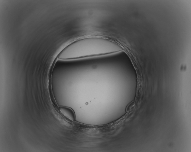 X0000093380100200710111355