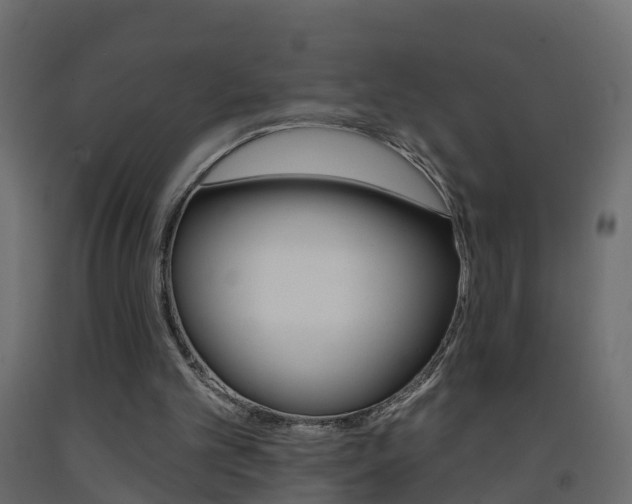 X0000093380101200710111355