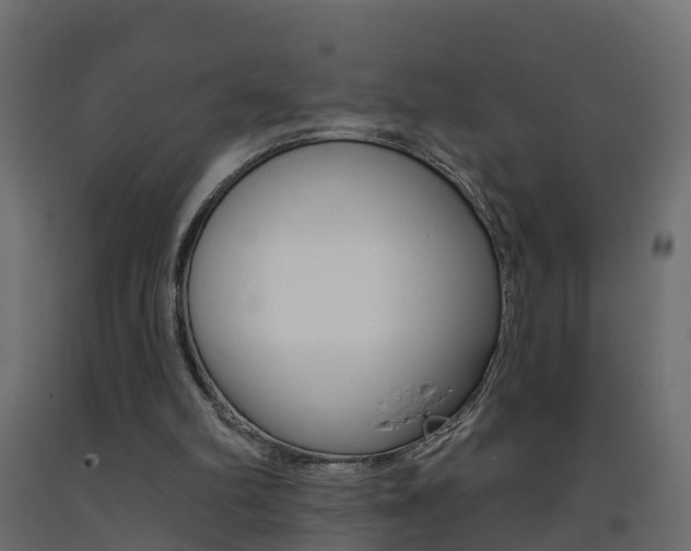 X0000093380102200710111355