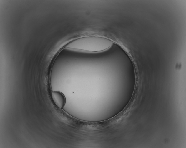X0000093380103200710111355
