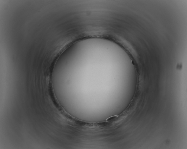X0000093380113200710111355