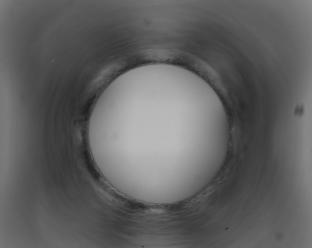 X0000093380114200710111355