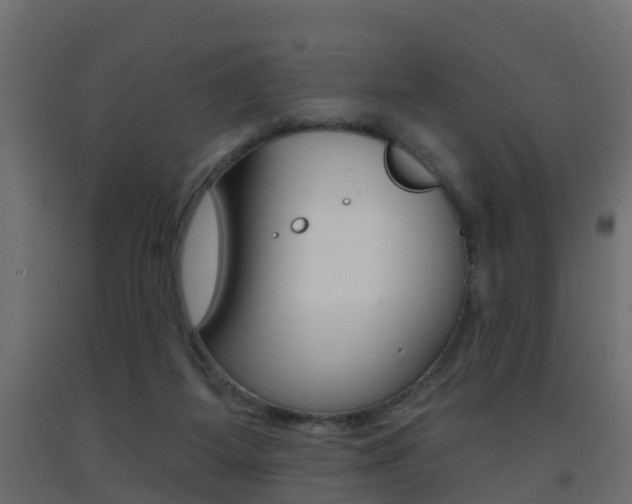 X0000093380115200710111355