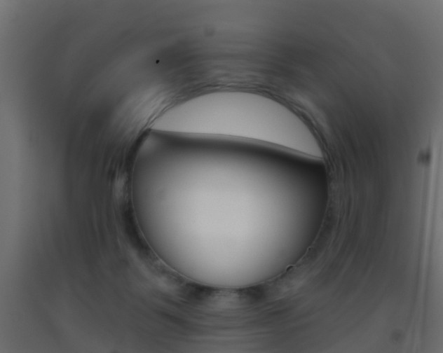 X0000093380123200710111355