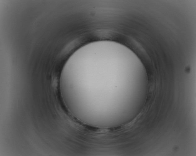 X0000093380124200710111355